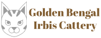 Golden Bengal Irbis Cattery